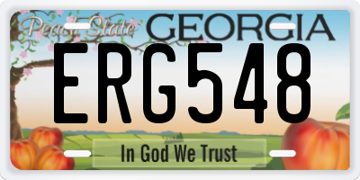 GA license plate ERG548