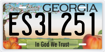 GA license plate ES3L251