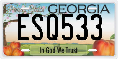 GA license plate ESQ533