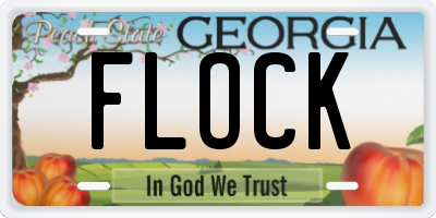 GA license plate FLOCK