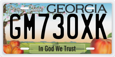 GA license plate GM730XK