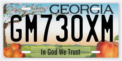 GA license plate GM730XM