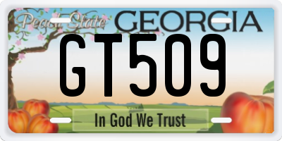 GA license plate GT509