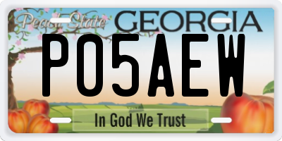 GA license plate P05AEW