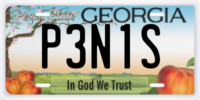 GA license plate P3N1S