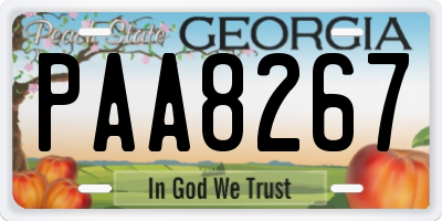 GA license plate PAA8267