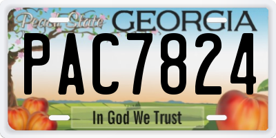 GA license plate PAC7824