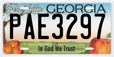 GA license plate PAE3297