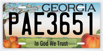 GA license plate PAE3651