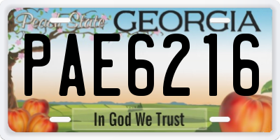 GA license plate PAE6216