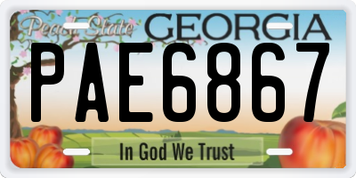 GA license plate PAE6867