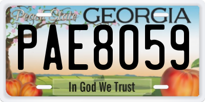 GA license plate PAE8059