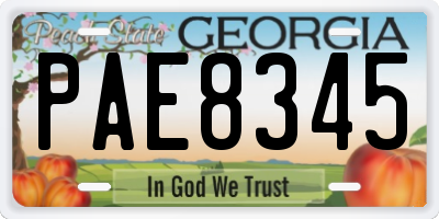 GA license plate PAE8345