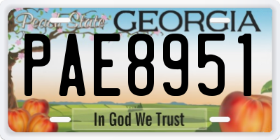 GA license plate PAE8951