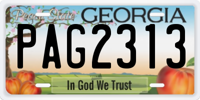 GA license plate PAG2313