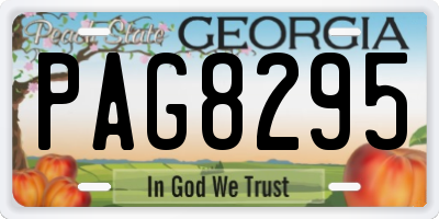 GA license plate PAG8295