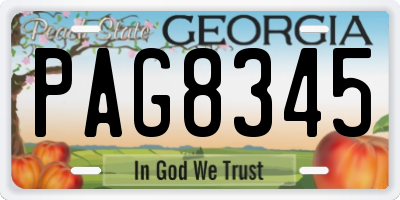 GA license plate PAG8345