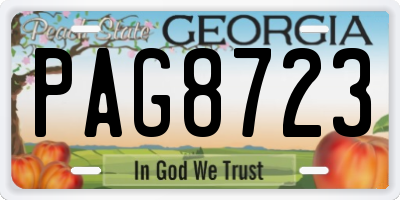 GA license plate PAG8723