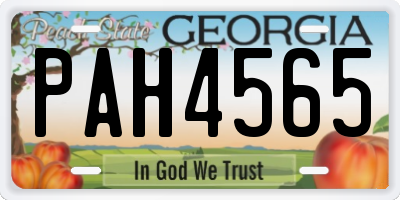 GA license plate PAH4565
