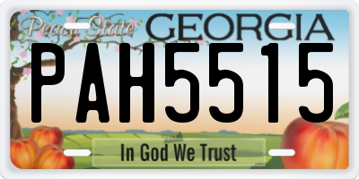 GA license plate PAH5515