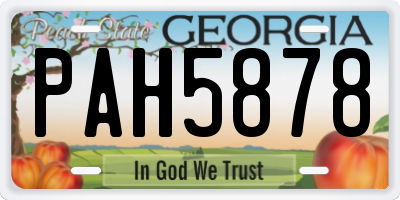 GA license plate PAH5878