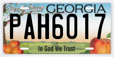 GA license plate PAH6017