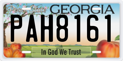 GA license plate PAH8161