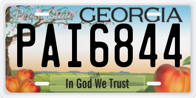 GA license plate PAI6844