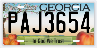 GA license plate PAJ3654