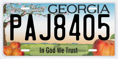 GA license plate PAJ8405