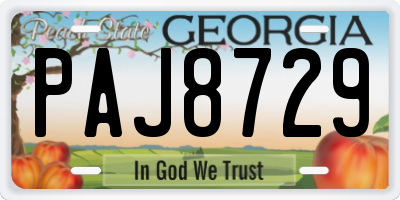 GA license plate PAJ8729