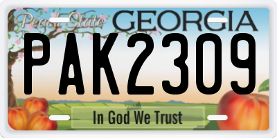 GA license plate PAK2309