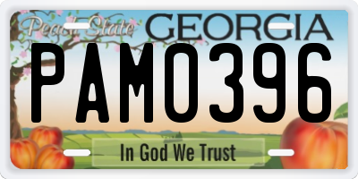 GA license plate PAM0396