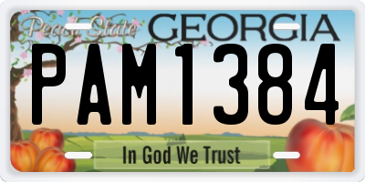 GA license plate PAM1384