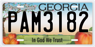 GA license plate PAM3182