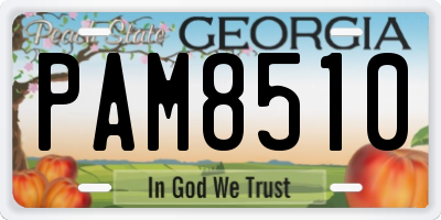 GA license plate PAM8510