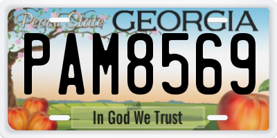 GA license plate PAM8569
