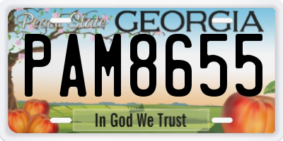 GA license plate PAM8655
