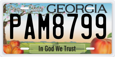 GA license plate PAM8799