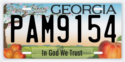 GA license plate PAM9154