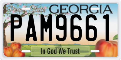 GA license plate PAM9661