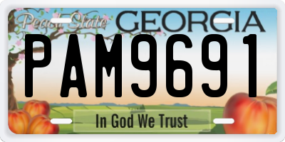 GA license plate PAM9691