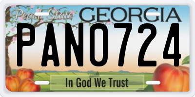 GA license plate PAN0724