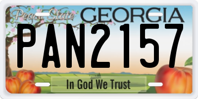 GA license plate PAN2157