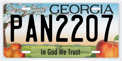 GA license plate PAN2207