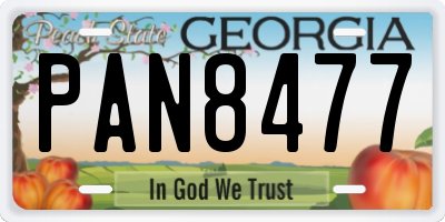 GA license plate PAN8477