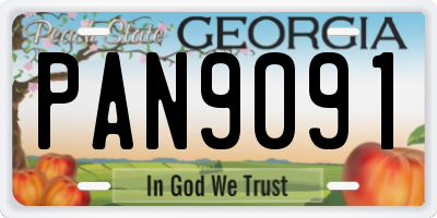 GA license plate PAN9091