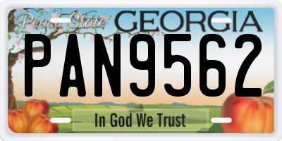 GA license plate PAN9562