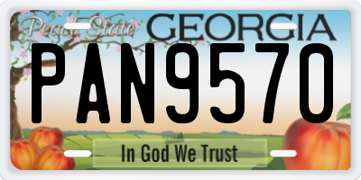 GA license plate PAN9570