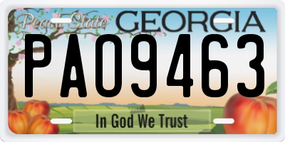 GA license plate PAO9463